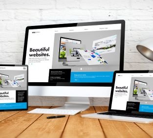 WEBSITE DEVELOPMENT